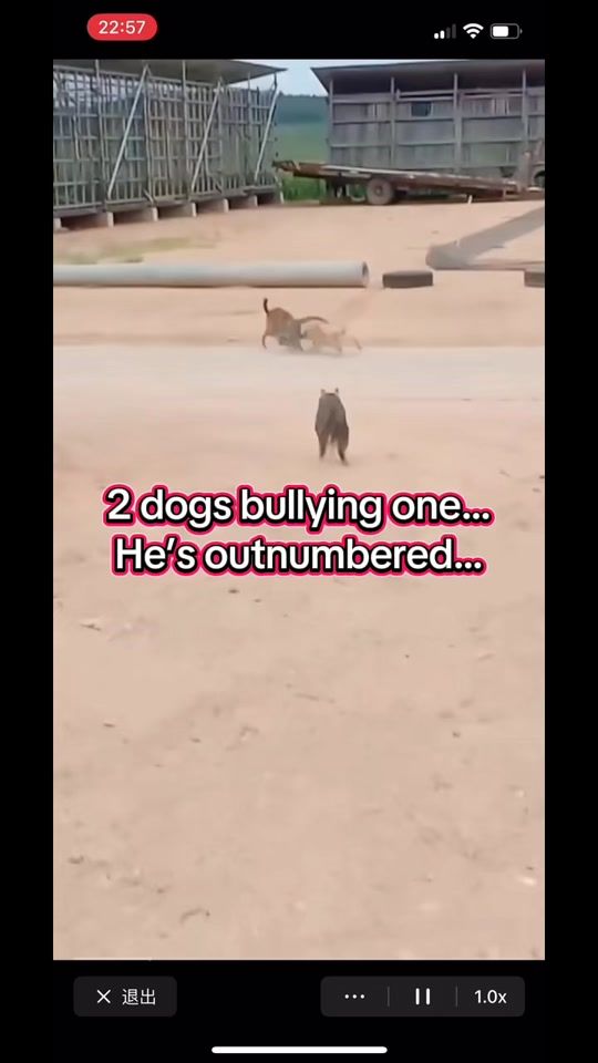 TikTok video thumbnail by happy.s.s.s