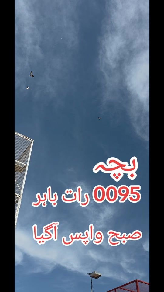 TikTok video thumbnail by ustad814