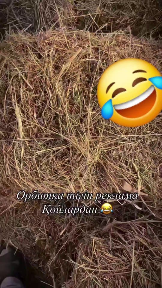 TikTok video thumbnail by bigoyim24