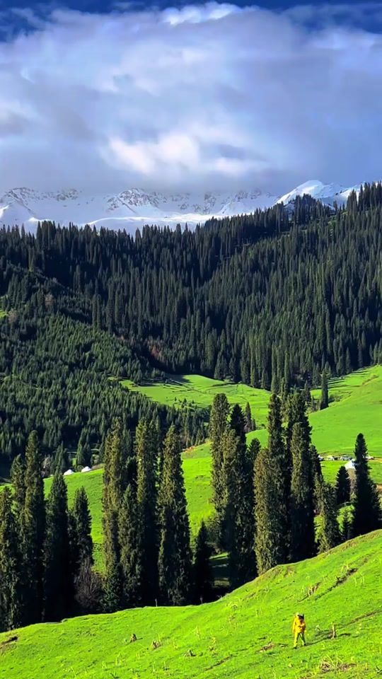 TikTok video thumbnail by ai.pictures52