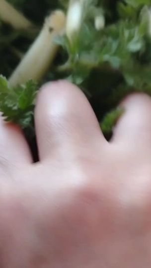 TikTok video thumbnail by annahovner