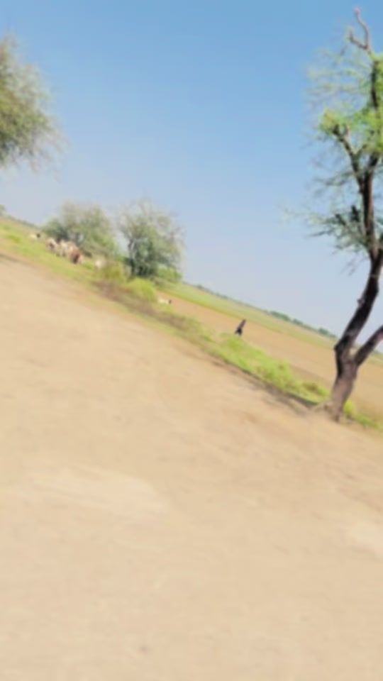 TikTok video thumbnail by sabir1390