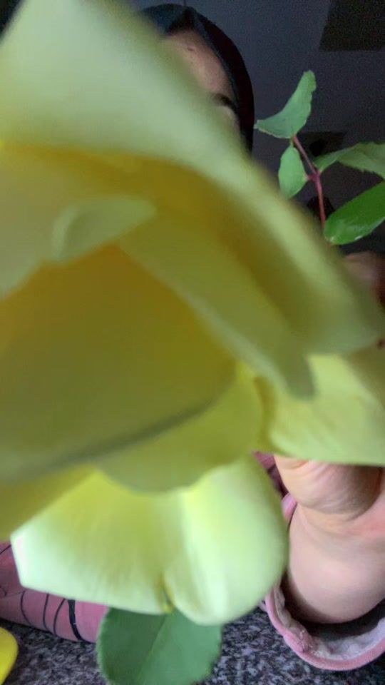 TikTok video thumbnail by baraa535
