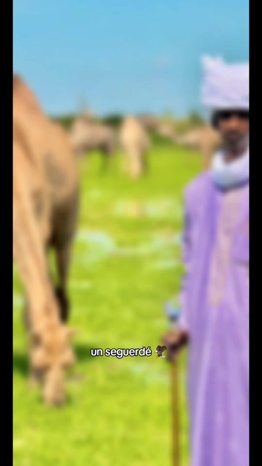 TikTok video thumbnail by algourani___cherif235