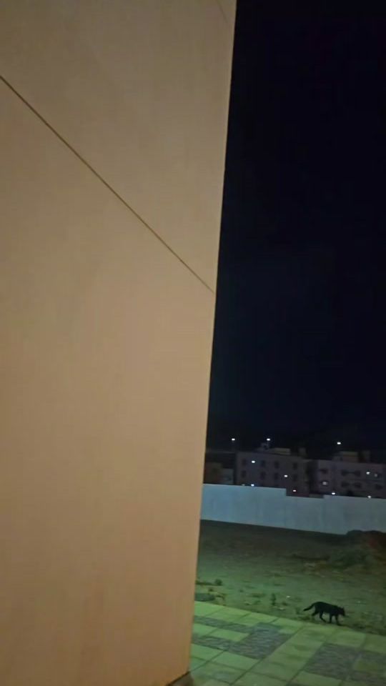 TikTok video thumbnail by .nursg2.0