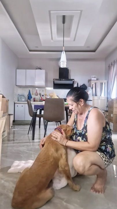 TikTok video thumbnail by mikacameirao