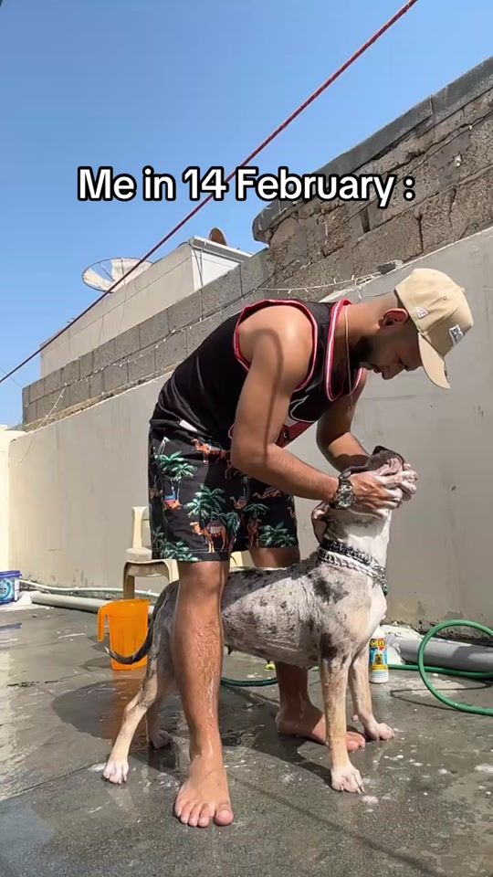 TikTok video thumbnail by m86_s