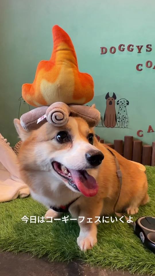 TikTok video thumbnail by mei_asami_