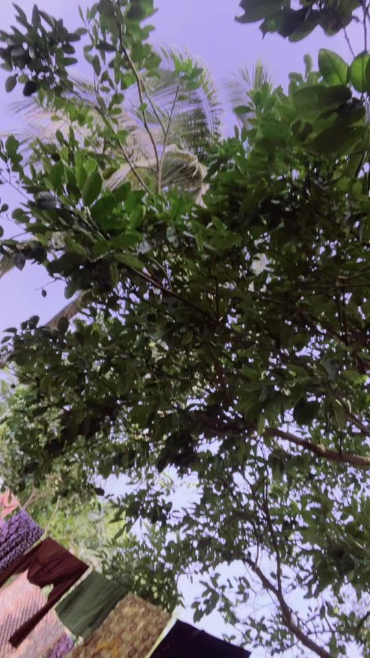 TikTok video thumbnail by mdtayjul52