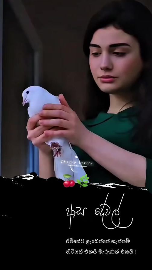 TikTok video thumbnail by cherry_lyrc