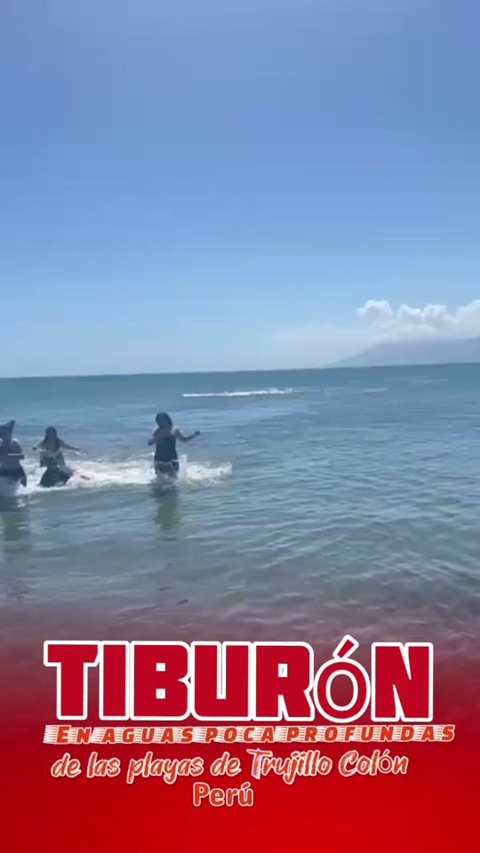 TikTok video thumbnail by edwardsjesmar