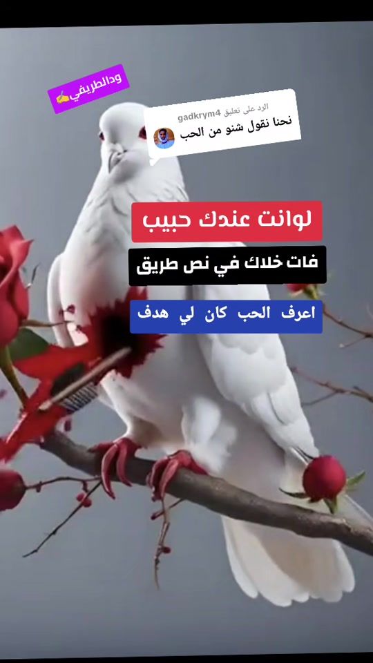 TikTok video thumbnail by user7826443523852