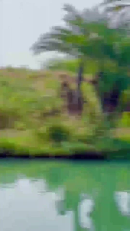 TikTok video thumbnail by mrshaqu