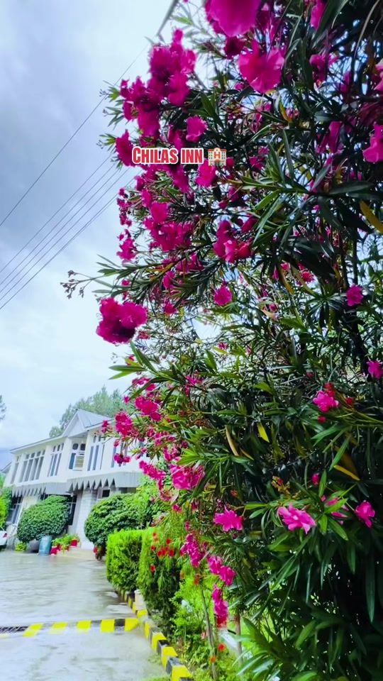 TikTok video thumbnail by majid_chilasi