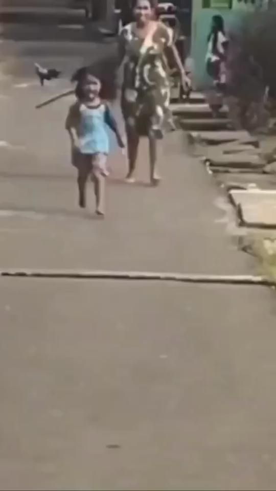 TikTok video thumbnail by allgraoko
