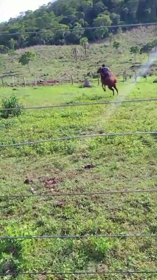 TikTok video thumbnail by elias.gomes.arrud