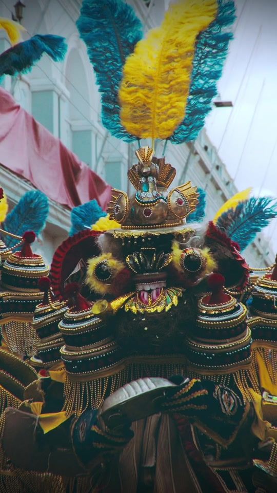 TikTok video thumbnail by giojan_