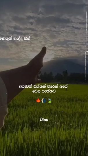 TikTok video thumbnail by dinuwa.59