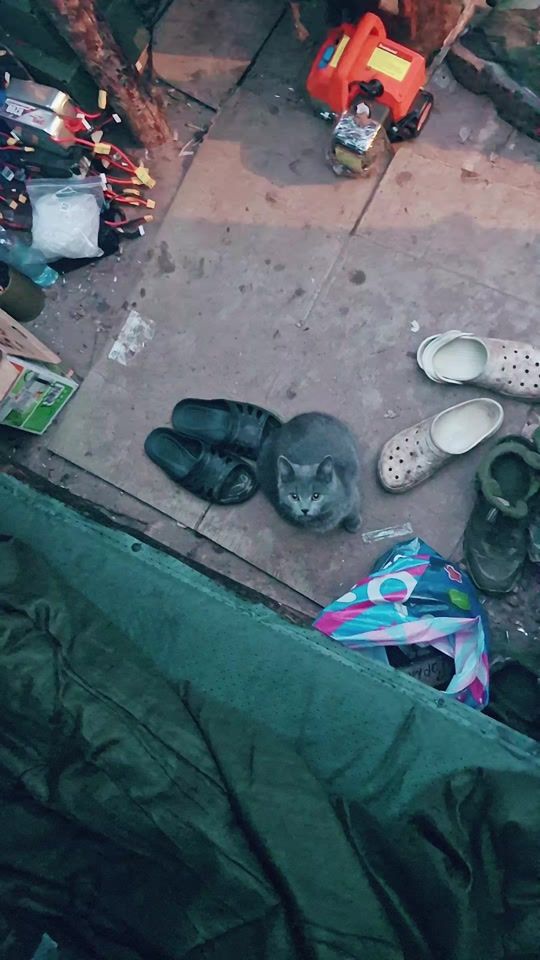 TikTok video thumbnail by k_e_n_t_2