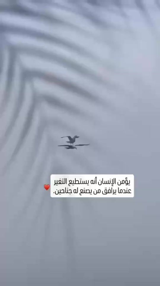 TikTok video thumbnail by deyaa_yousef