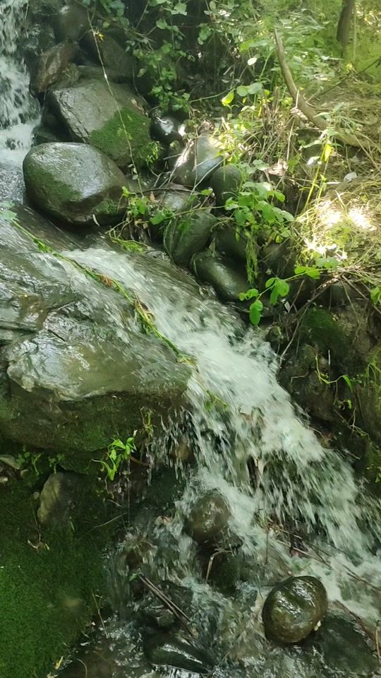 TikTok video thumbnail by faridadanesh8