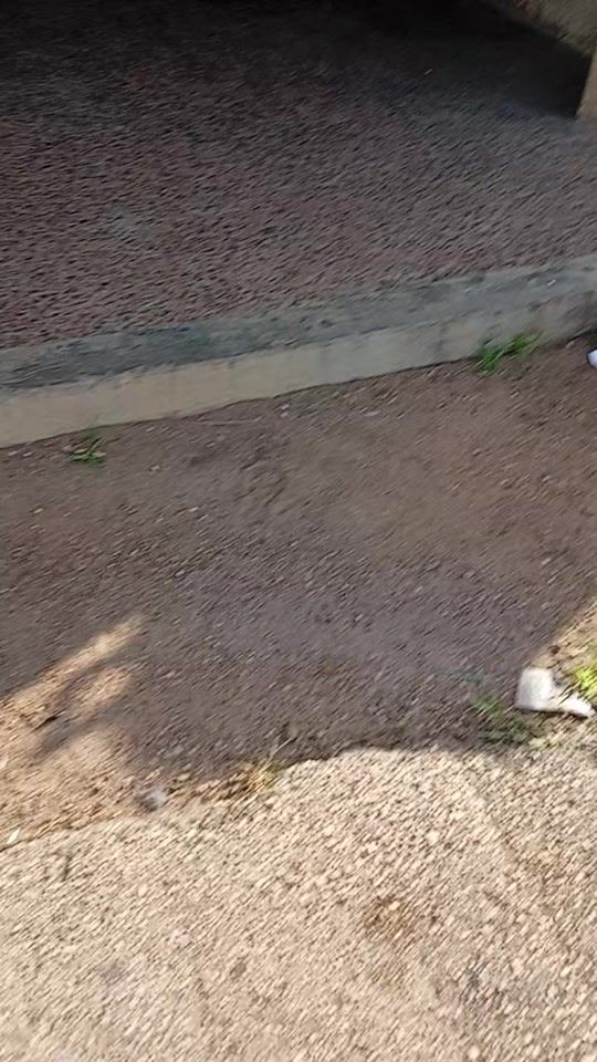 TikTok video thumbnail by diosas434
