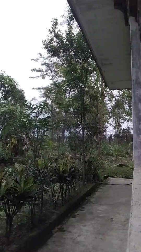 TikTok video thumbnail by deki4142011