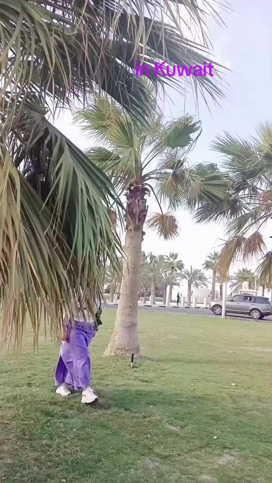 TikTok video thumbnail by salina.blon