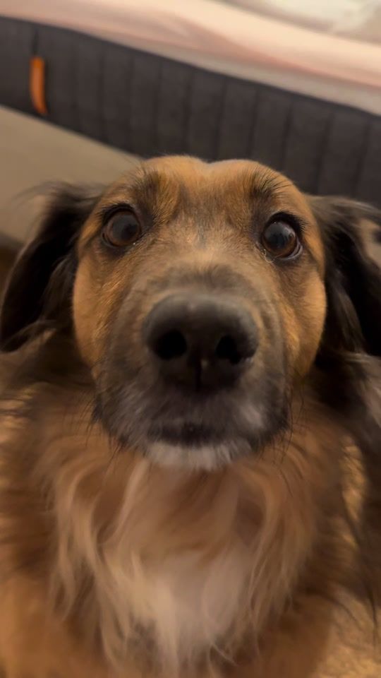 TikTok video thumbnail by afernandaarantes