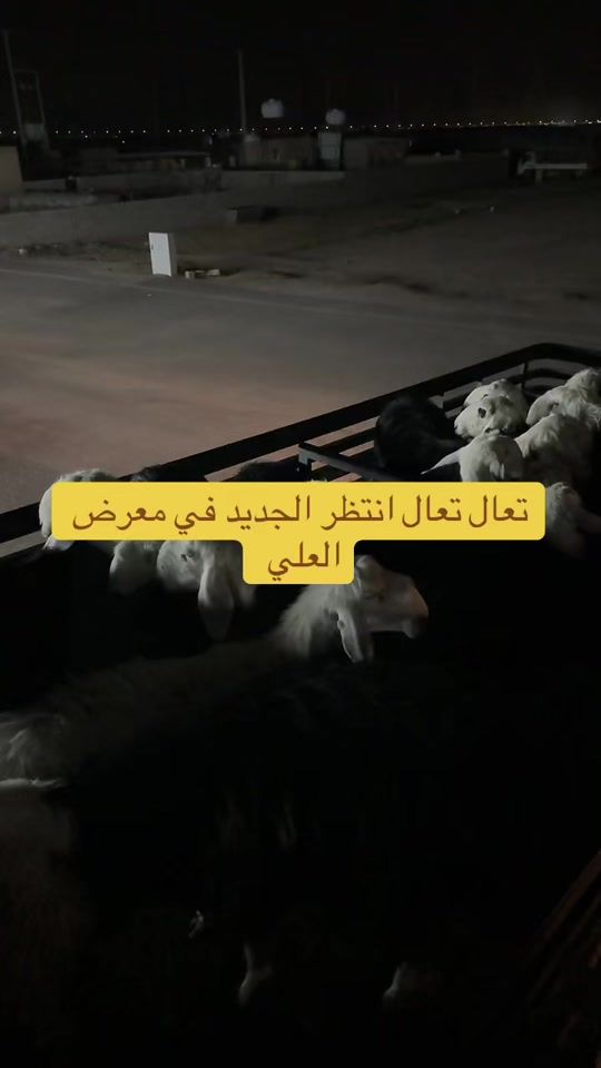 TikTok video thumbnail by fasil.1410