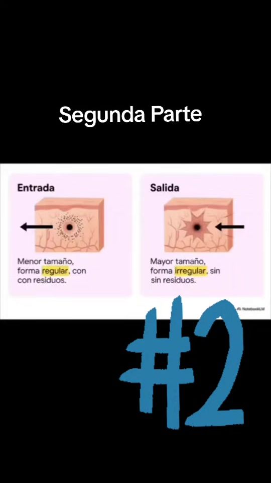 TikTok video thumbnail by fast_panther1