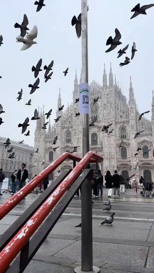 TikTok video thumbnail by jalale100k