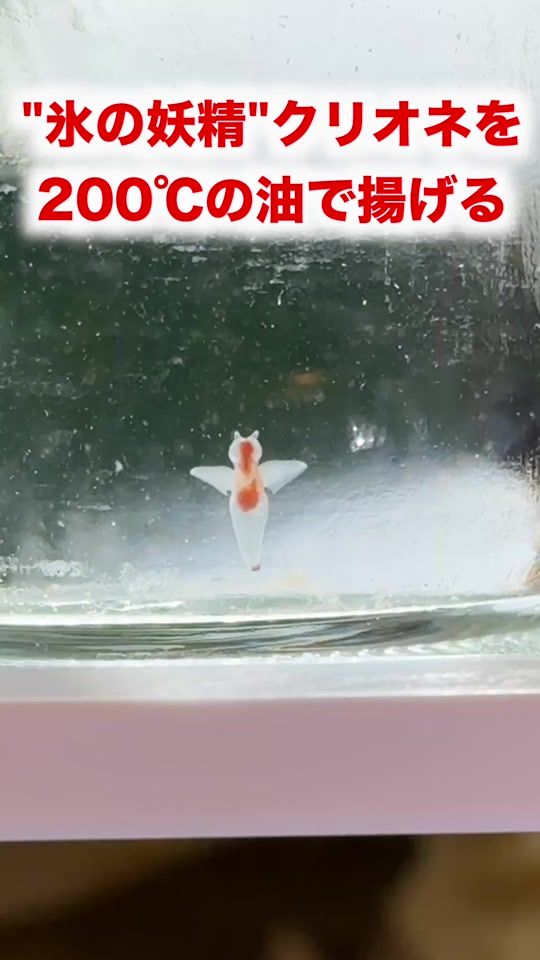 TikTok video thumbnail by tomikkunet