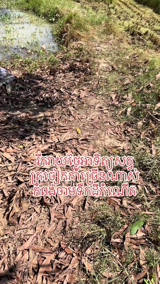 TikTok video thumbnail by sreysros_1680