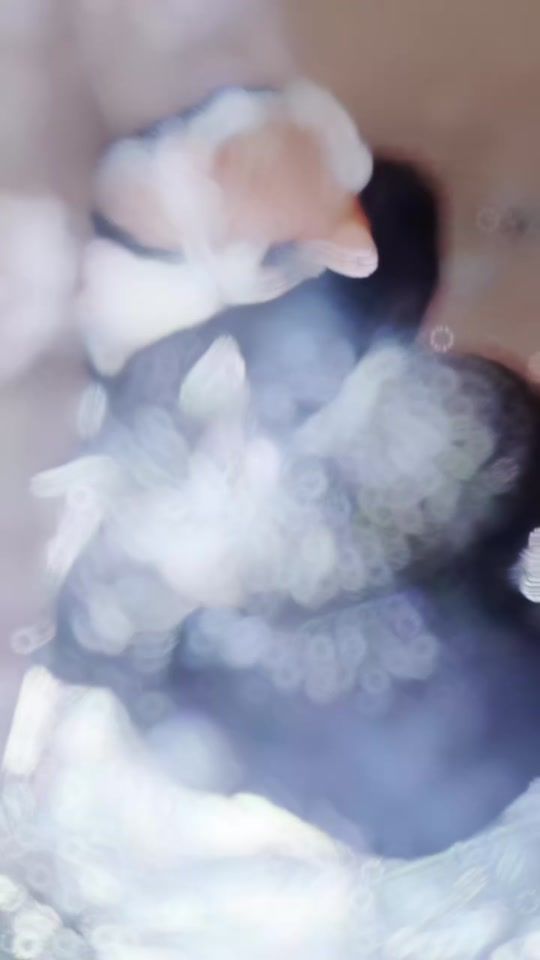 TikTok video thumbnail by masked_man30