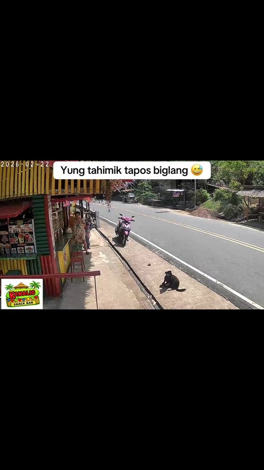 TikTok video thumbnail by kamaliggirl
