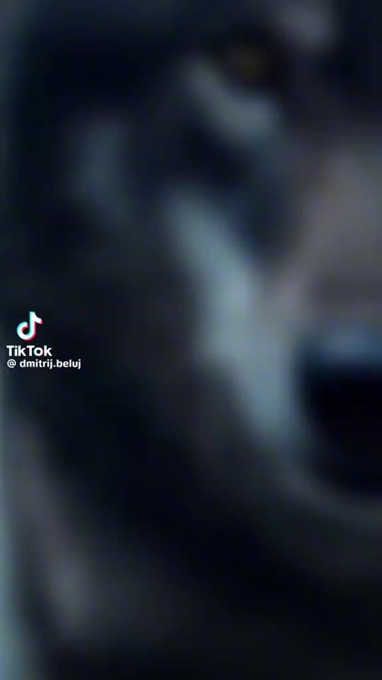TikTok video thumbnail by vadim.cociorva0