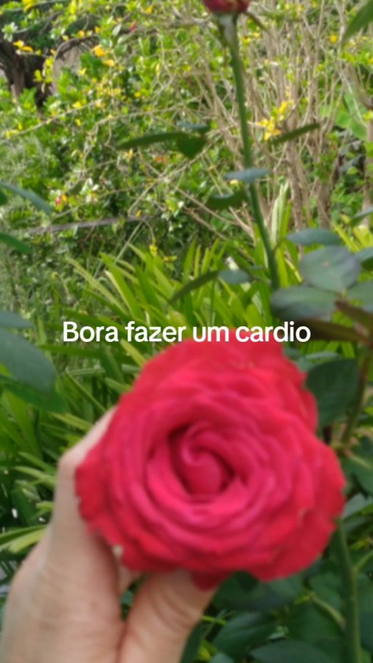 TikTok video thumbnail by dboravieiralaia