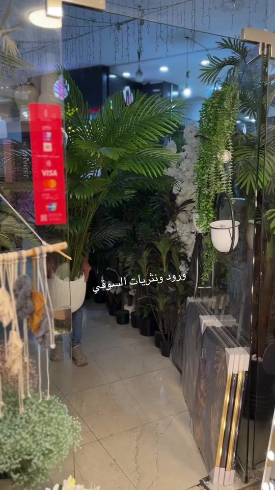 TikTok video thumbnail by alaasoqe