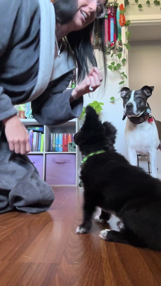 TikTok video thumbnail by seaweedsiren
