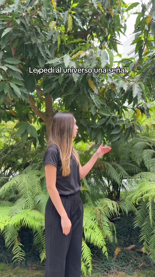 TikTok video thumbnail by perfumeriasfetiche