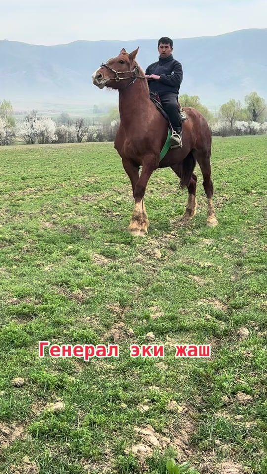 TikTok video thumbnail by uzen.111kg