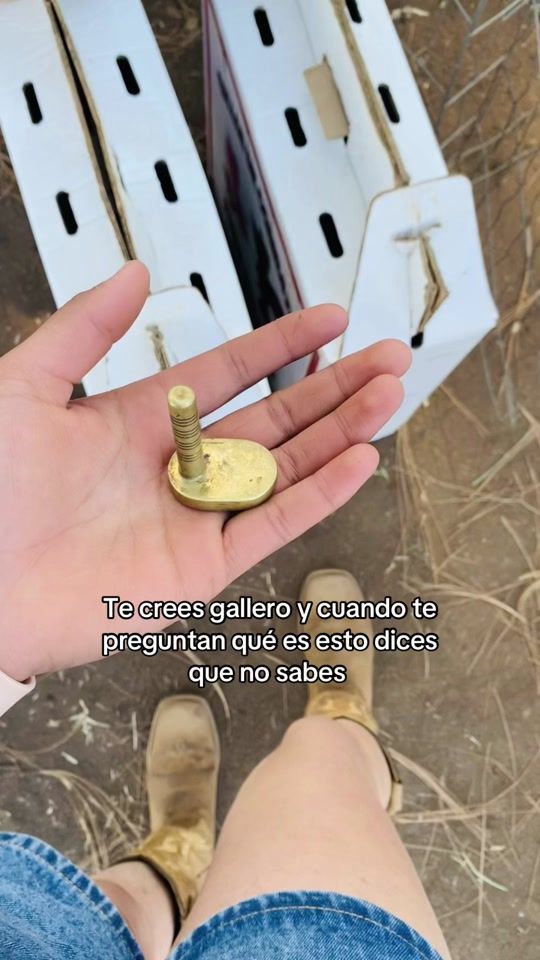 TikTok video thumbnail by kenia.basulto