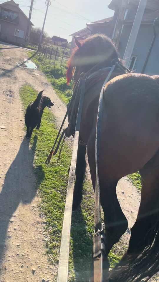 TikTok video thumbnail by miksagrbic05