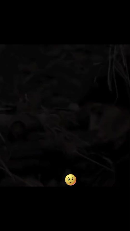TikTok video thumbnail by nicat__188