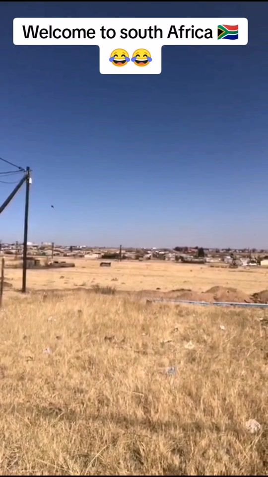 TikTok video thumbnail by tymye21