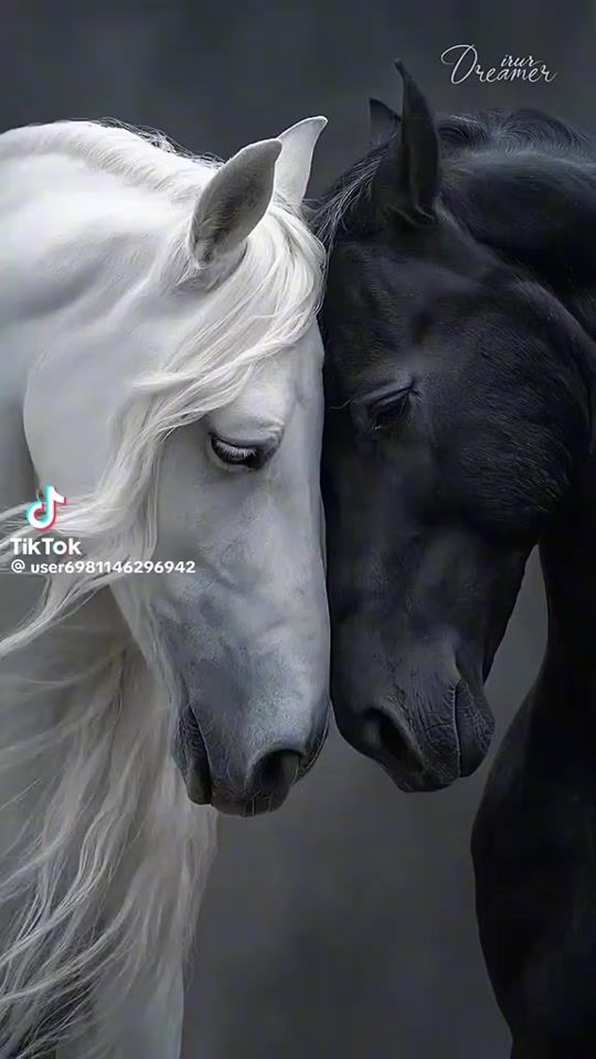 TikTok video thumbnail by psixoloqkonulcafarova