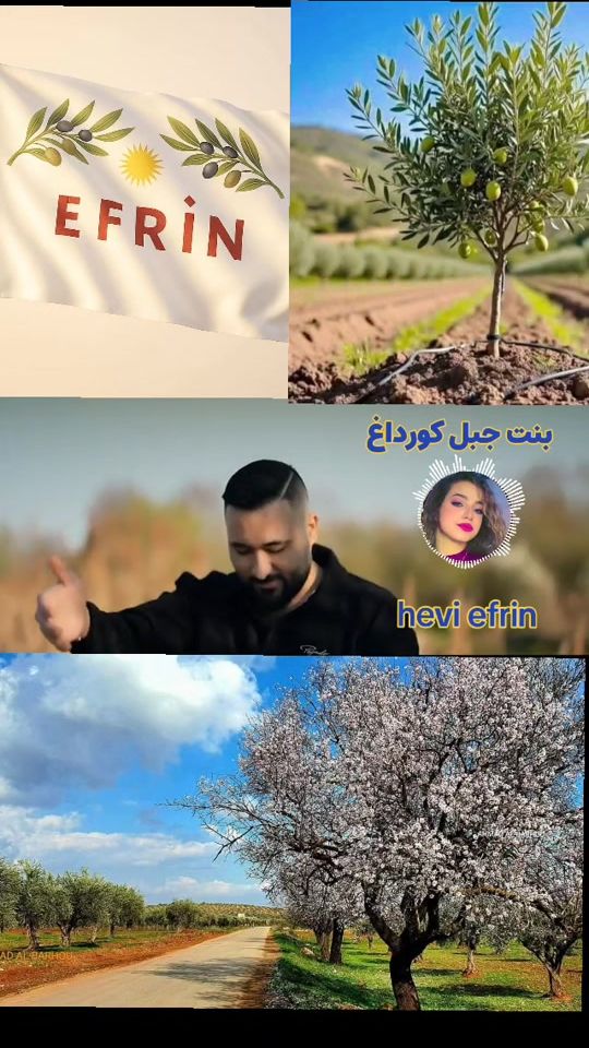 TikTok video thumbnail by hevi_efrin