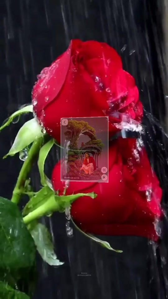 TikTok video thumbnail by camila..gt