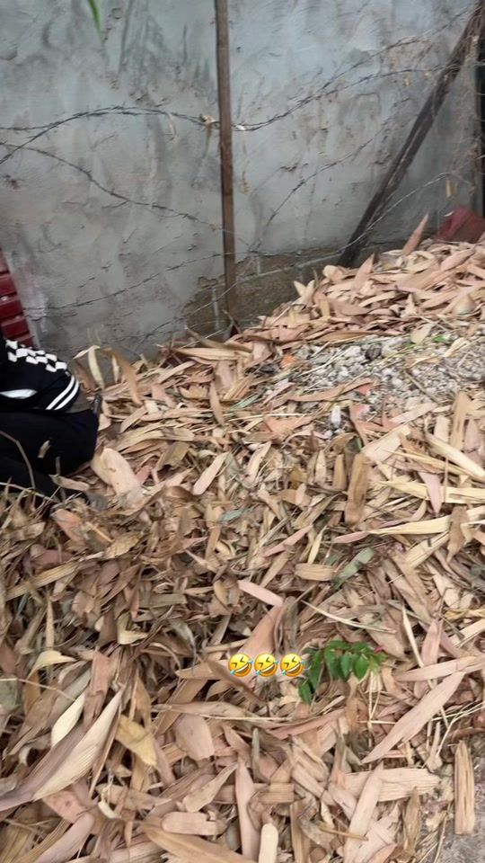 TikTok video thumbnail by ysn.ewb